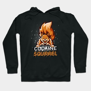 Cocaine Squirrel Hoodie